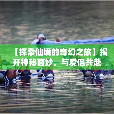 【探索仙境的奇幻之旅】揭开神秘面纱，与爱侣共赴风景如画的情缘之地——仙境的心动体验！